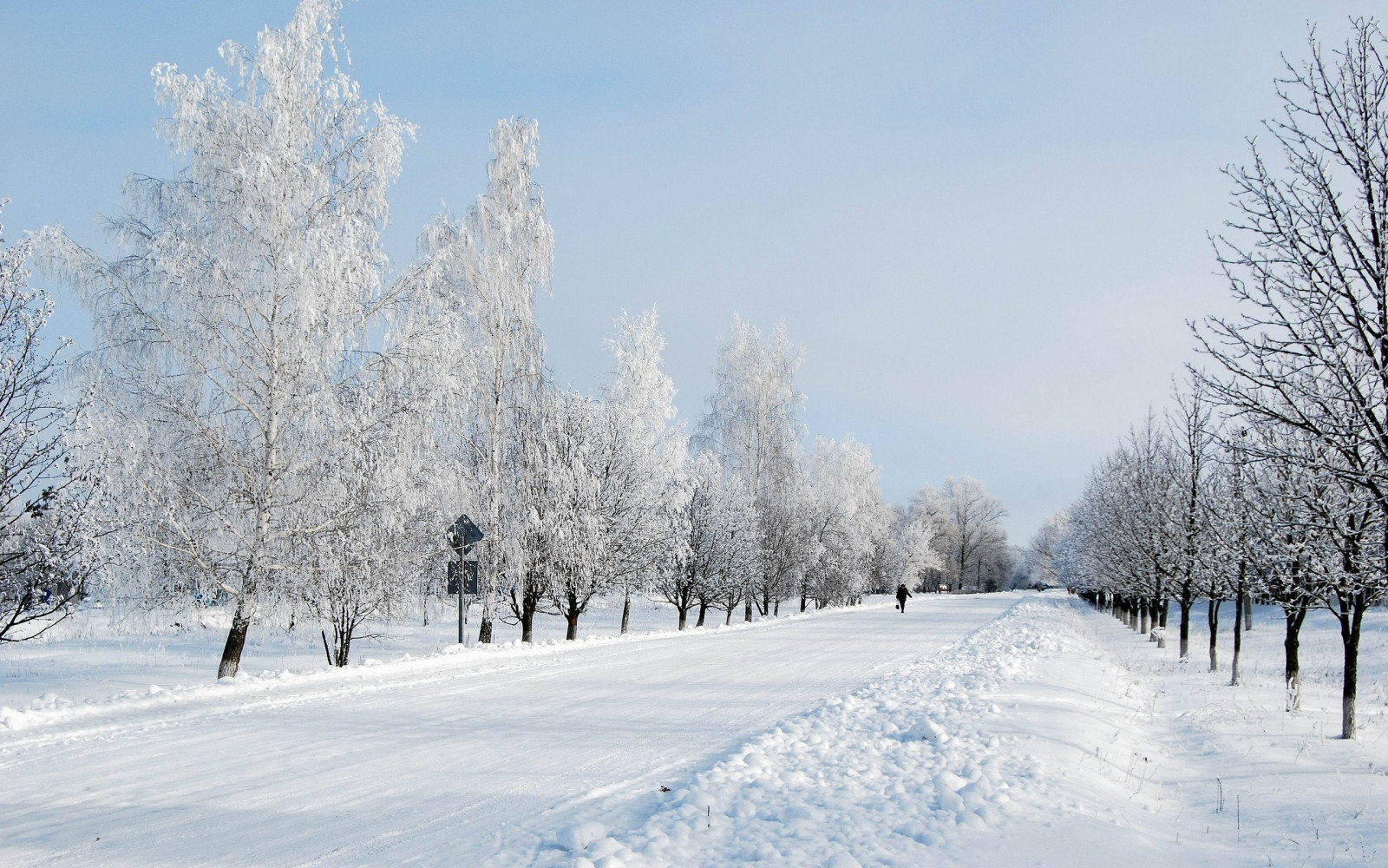Wallpaper : landscape, snow, frost, Freezing, tree, weather, season ...