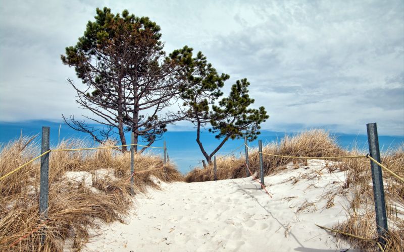 trees, landscape, sea, hill, lake, nature trees, landscape, sea, hill, lake, nature