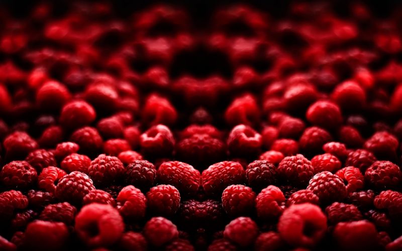 rouge,fruit,des fraises,baie,fraise,Macro