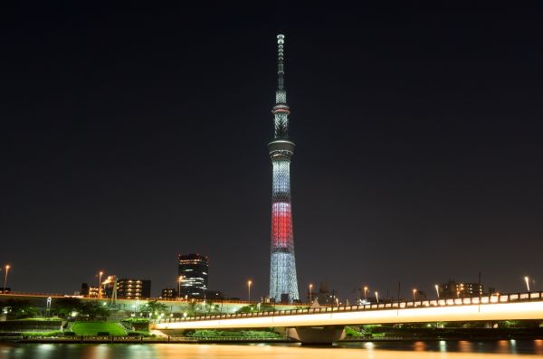 Japan,city,cityscape,night,architecture,skyline