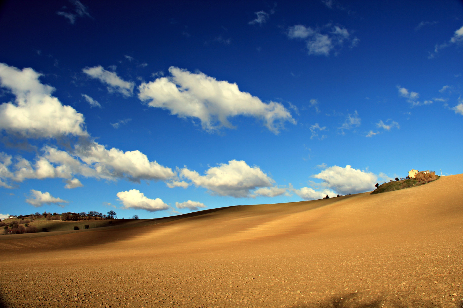 sollys, landskab, hav, Italien, bakke, sand, himmel, Mark, bakker, ørken, horisont, skumring, klit, plateau, steppe, Sky, daggry, græsarealer, blinkagain, almindeligt, natureselegantshots, topshots, theoriginalgoldseal, flickrsportal, panoramafotografico, paesaggi, marche, prærie, Macerata, Colline, levested, naturligt miljø, landskabsform, geografisk funktion, økosystem, græs familie, Lipariske landskabsform