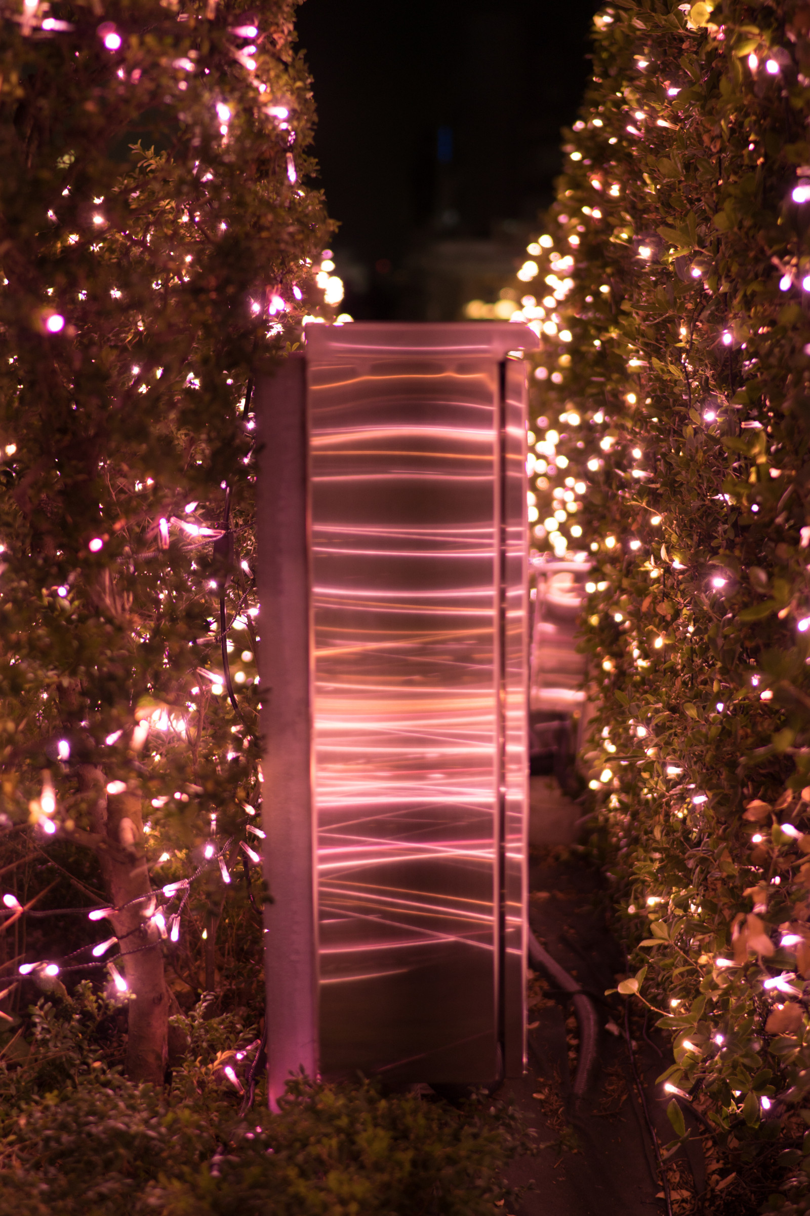 Japan, nat, Sony, Juletræ, jul, ferie, julelys, Tokyo, begivenhed, Jp, lys, træ, belyst, belysning, Zeiss, Shinjuku, Distagon, distagonfe35mmf14, distagontfe35mmf14za, fe35mmf14, a6300, 6300, southernterrace, indretning, vedplante, juledekoration