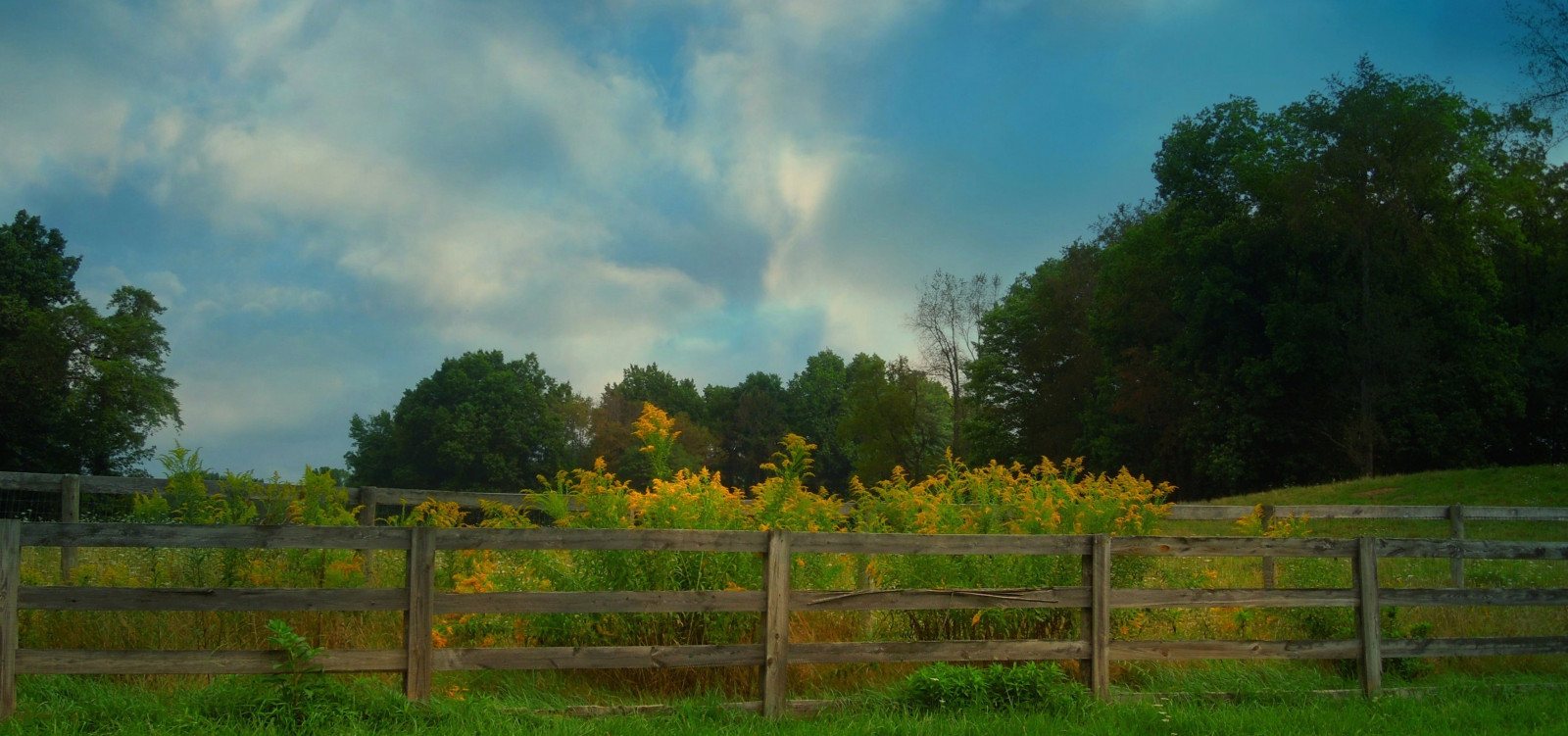 slunečnímu záření, stromy, krajina, květiny, kopec, Příroda, tráva, nebe, pole, mraky, zelená, hospodařit, plot, venkovský, Ohio, září, 2014, mrak, strom, květ, pastvina, modrá obloha, zemědělství, louka, portagecountyohio, kvetoucí, trávník, prérie, půda, venkov, dřevina, ekosystém, zlatobýl, fencefriday, dřevěný plot, kentohio, howeroad