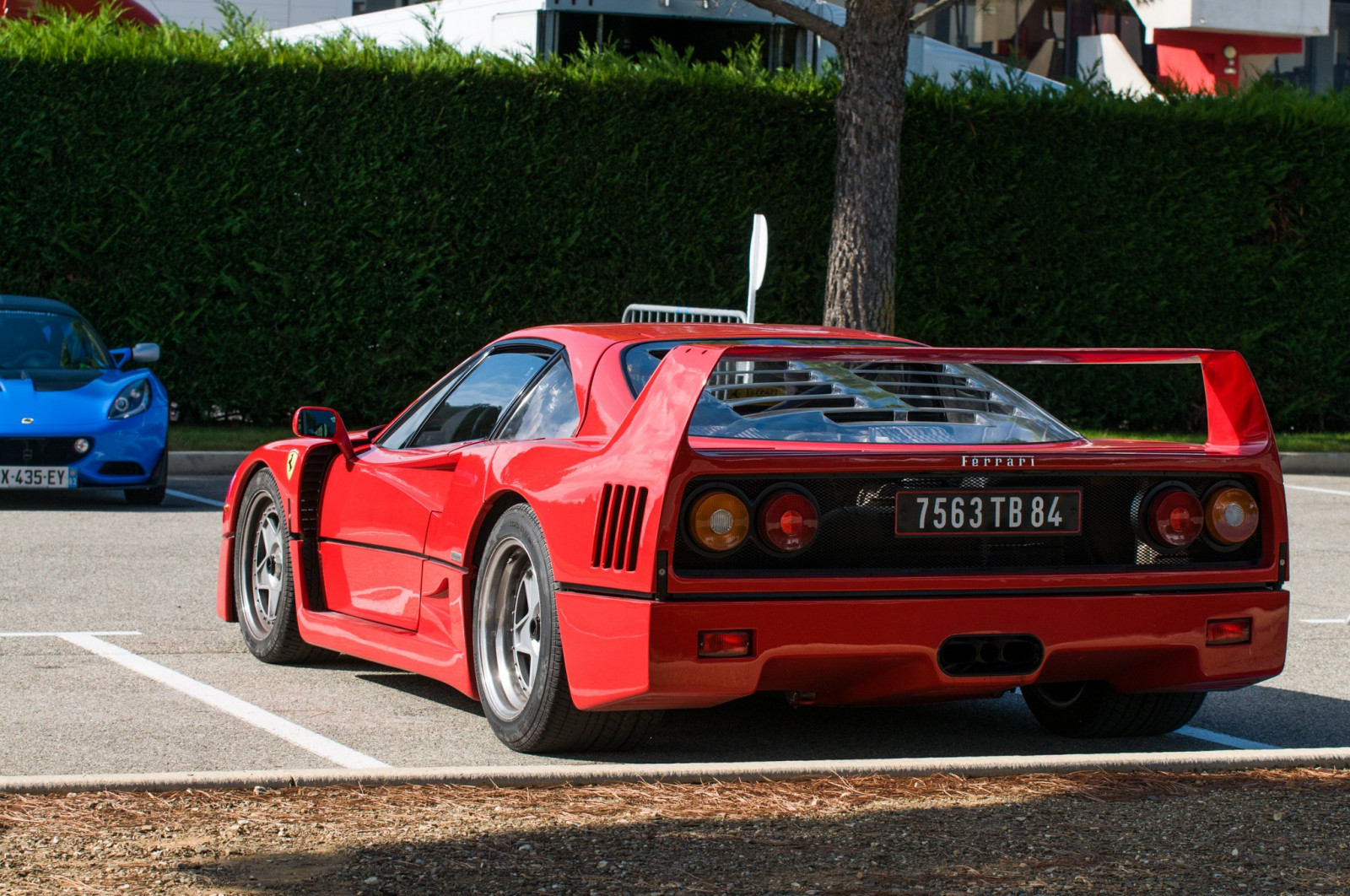 bil, rød, køretøj, superbiler, sportsvogn, Ferrari, Ferrari F40, F40, ydeevne bil, ferrari 288 gto, superbil, jord køretøj, bildesign, racerbil, bil make, luksus køretøj, ferrari spa