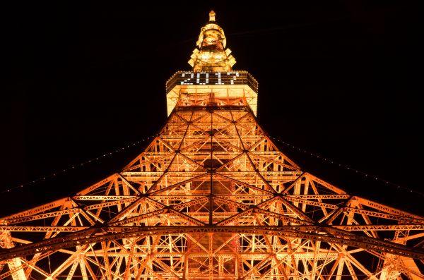 Japan,night,architecture,symmetry,temple,evening