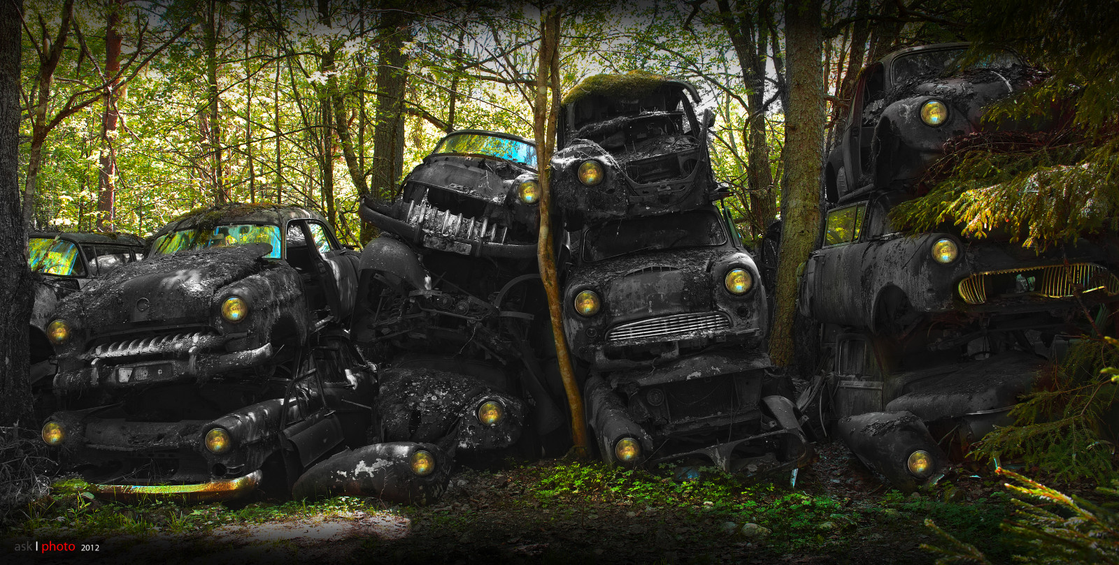 klasický, cars, rez, forrest, Švédsko, Brouk, rezavý, wv, zapomenutý, žárovky, Sverige, odpočívá, vrak, smrk, skrot, carcemetery, chodící smrt, bilvrak, Bastnas, nikond700, bilkirkeg rd, Kulturní historie, bentingeask, Tr ckfors, Br dreneivansson