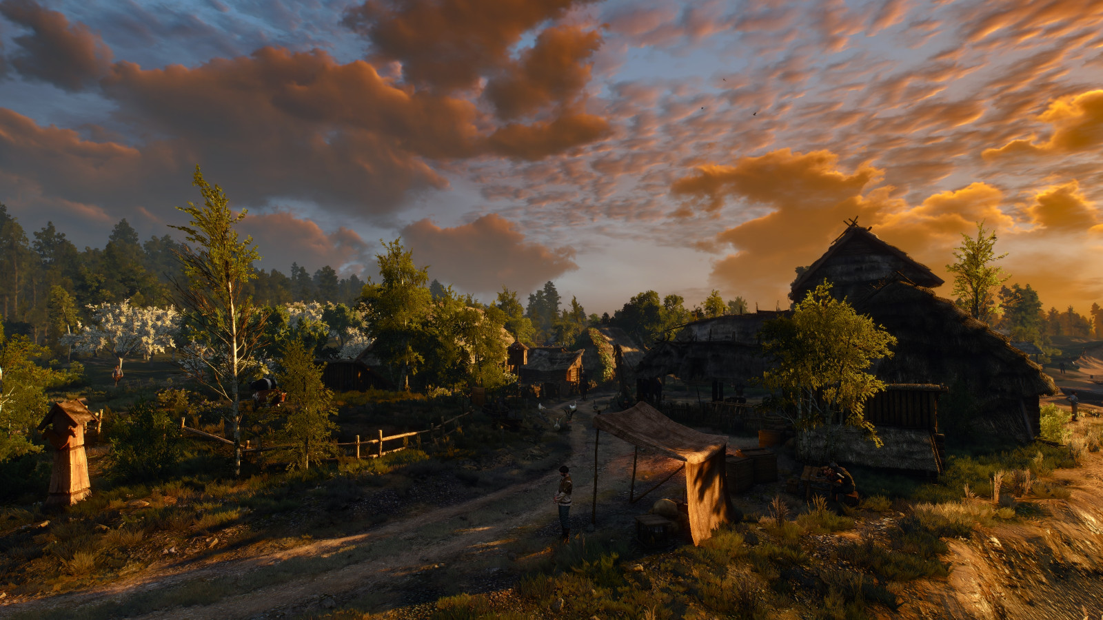 mrak, rostlina, nebe, atmosféra, ekoregion, Natural landscape, vysočina, dřevo, soumrak, strom, kupa, horizont, odlesk, tráva, lučina, prostý, krajina, svítání, venkov, Tints and shades, louka, západ slunce, kopec, les, pole, svítání, prérie, silnice, meteorologický jev, Volně žijících živočichů, půda, pohoří, večer, pastvina, odraz, Prašná silnice, noc, zálesí, Skála, chalupa, step, stín, křoviny, podzim, zima, hospodařit, savana, vesnice, panoráma