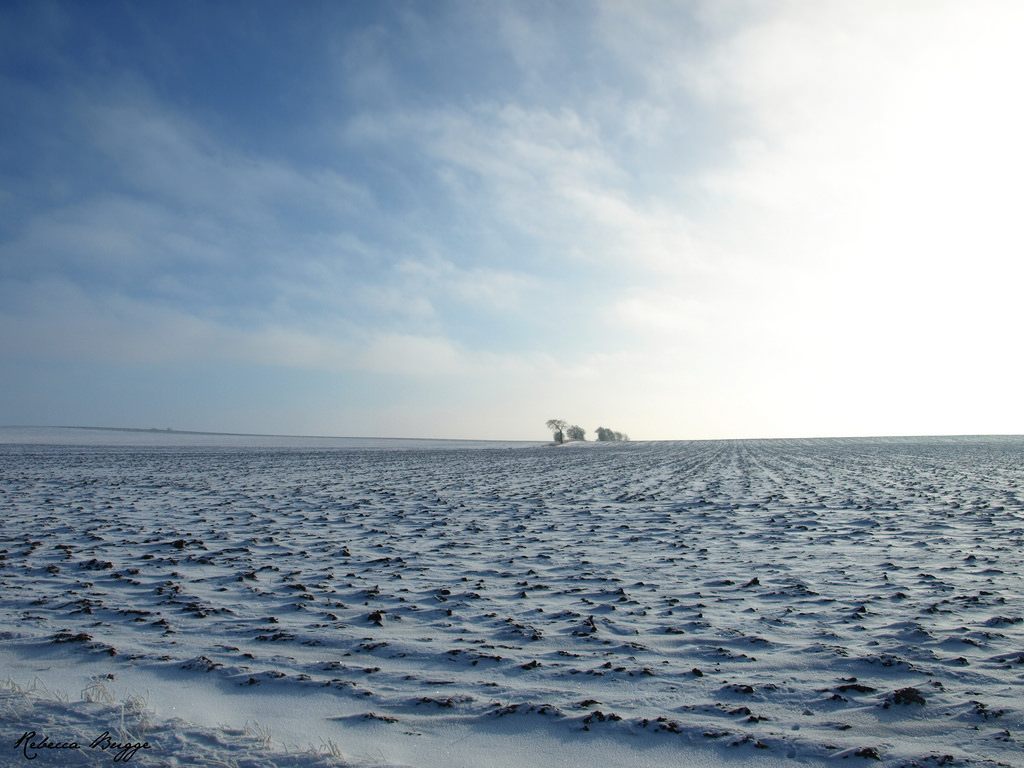 modrý, Schnee, zima, nebe, mrak, sníh, Lund, strom, pole, azul, Vinter, Nuvola, Švédsko, Blu, hiver, Nieve, Schweden, Feld, nebe, Wolke, ciel, cielo, neve, arbol, campo, invierno, neige, Sverige, blau, oblak, albero, inverno, arbre, sno, baum, nube, Trad, suecia, chroupat, Acker, bla, Aker, moln, semiš, svezia, f lt, Linero