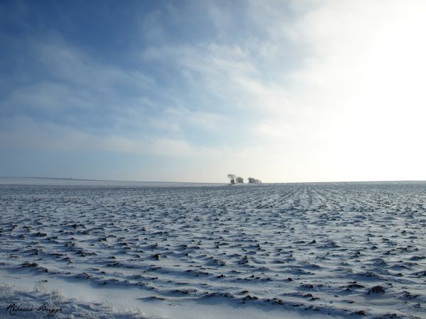 winter,sky,snow,blue,schnee,cloud