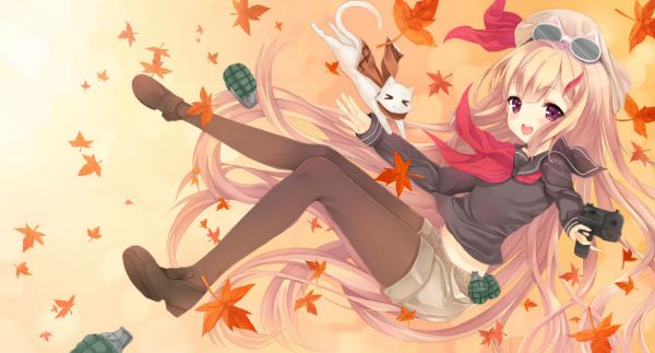animal, cat, 1671x900 px, blonde, blush, ears