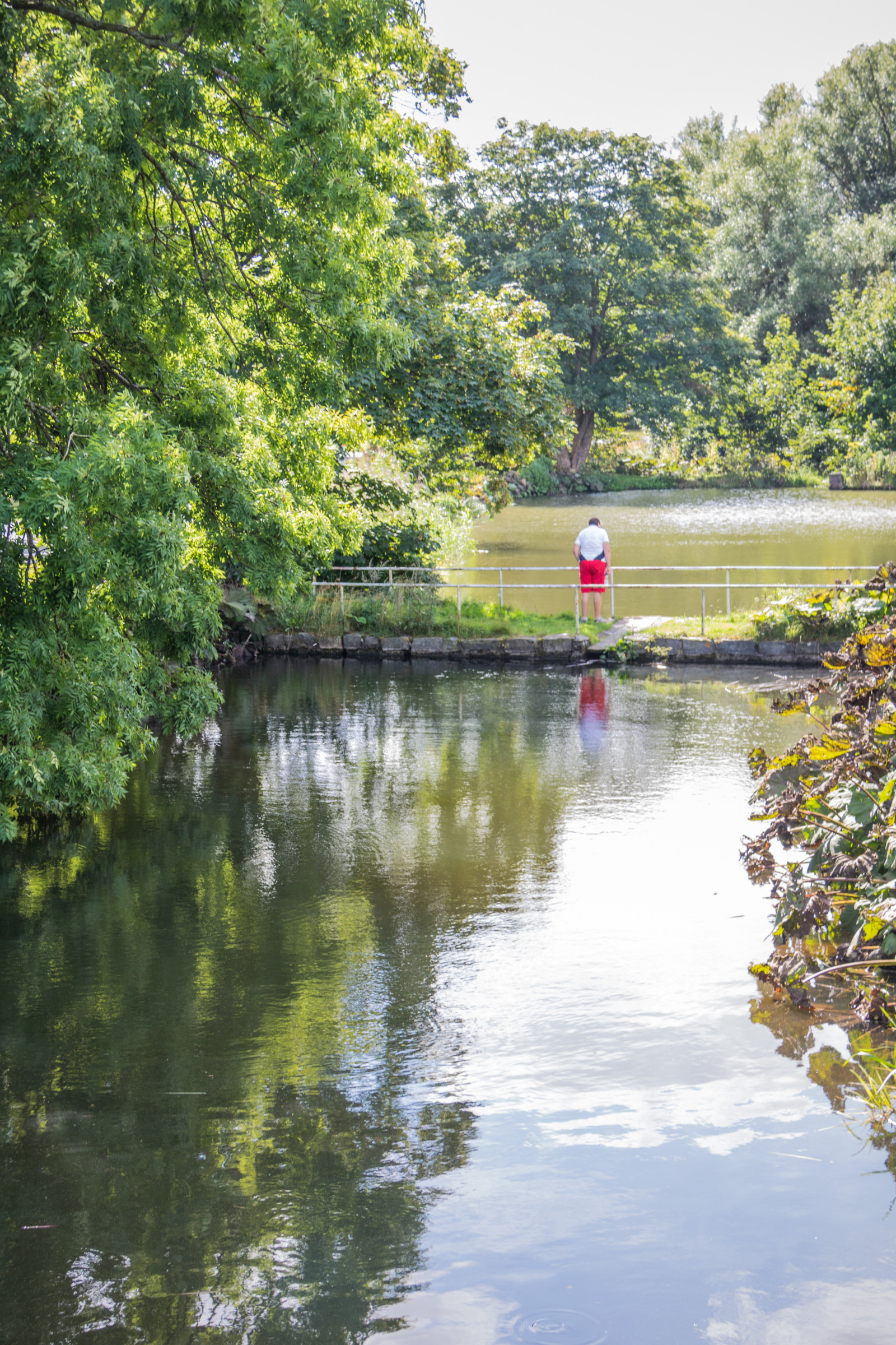 jezero, voda, Příroda, odraz, řeka, rybník, proud, kanál, strom, podzim, list, květ, rostlina, sezóna, odrazy, sterlen, exif modelu canoneos760d, geocountry, Kamera aby kánon, geocity, Model fotoaparátu canoneos760d, geostate, geolocation, EXIF čočka efs18200mmf3556is, EXIF otvor 56, exif aby kánon, EXIF isospeed 100, exif focallength 40mm, Simrishamn, reflektioner, tobisvik, nádrž, vodní, dřevina, landform, geografický rys, tělo z vody