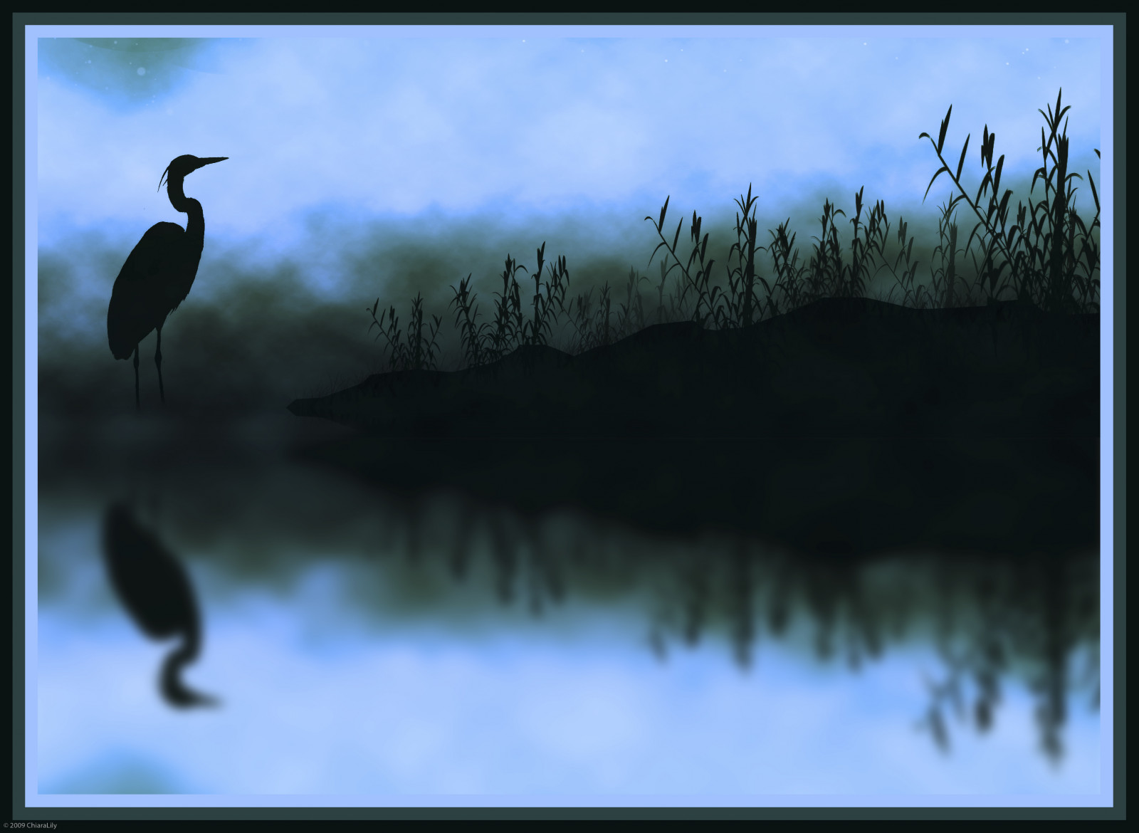 černobílý, odraz, umělecká díla, modrý, rybník, bambus, Austrálie, Victoria, Melbourne, mlha, pták, zamrzlý, CC, tapeta na zeď, CreativeCommons, ngc, bestcapturesaoi, mywinners, náš čas, artofimages, Snímek obrazovky, sharingart, počítač tapeta, chiaralily, thepyramidgroup