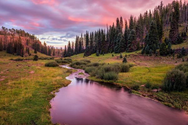 cloud,water,sky,plant,water resources,ecoregion