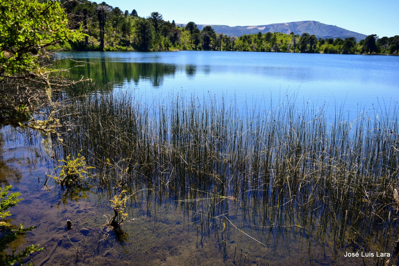 krajina, les, jezero, voda, Příroda, odraz, nebe, ráno, řeka, národní park, divočina, rybník, banka, bažina, konvice, Montana, přírodní rezervace, mokřadní, strom, hora, rostlina, paisaje, Bosque, lago, agua, Reflejo, laguna, nádrž, pleso, Montanas, reflejos, bažina, jezero, biome, tělo z vody, tráva rodina, bažina, národní park, transparente, lužní, vodní zdroje, lacustrine plain