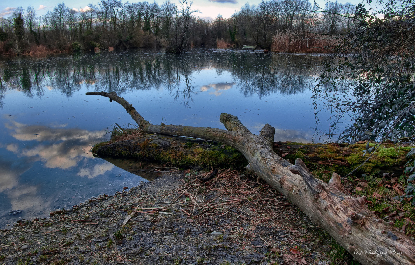 krajina, les, jezero, voda, odraz, tráva, nebe, větev, řeka, divočina, rybník, banka, bažina, konvice, paysage, přírodní rezervace, mokřadní, strom, osamělý, rostlina, waterscape, vodní tok, fuji, zátoka, hiver, barque, reflets, Pecheurs, nádrž, fleuve, pleso, arbres, bayou, zálesí, bažina, jezero, tráva rodina, bažina, Rhone, lužní les, národní park, lužní, bažina, XM1, 1650mm, vodní zdroje, lacustrine plain, riparian zone