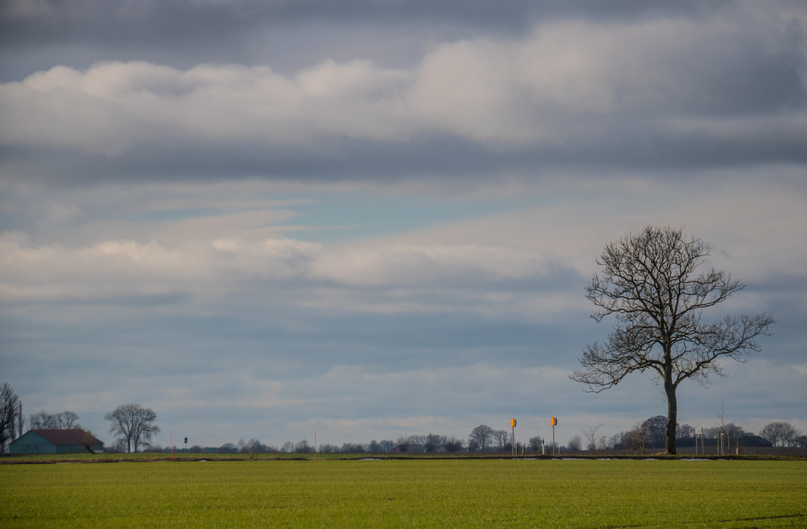 paesaggio, collina, natura, erba, cielo, campo, mattina, vento, orizzonte, nube, albero, fiore, prateria, pianta, tr d, campagna, landsbygd, s dersl TT, Landskap, agricoltura, prato, pianura, prateria, area rurale, fenomeno atmosferico, atmosfera della terra, pianta legnosa, famiglia di erba, fenomeno meteorologico