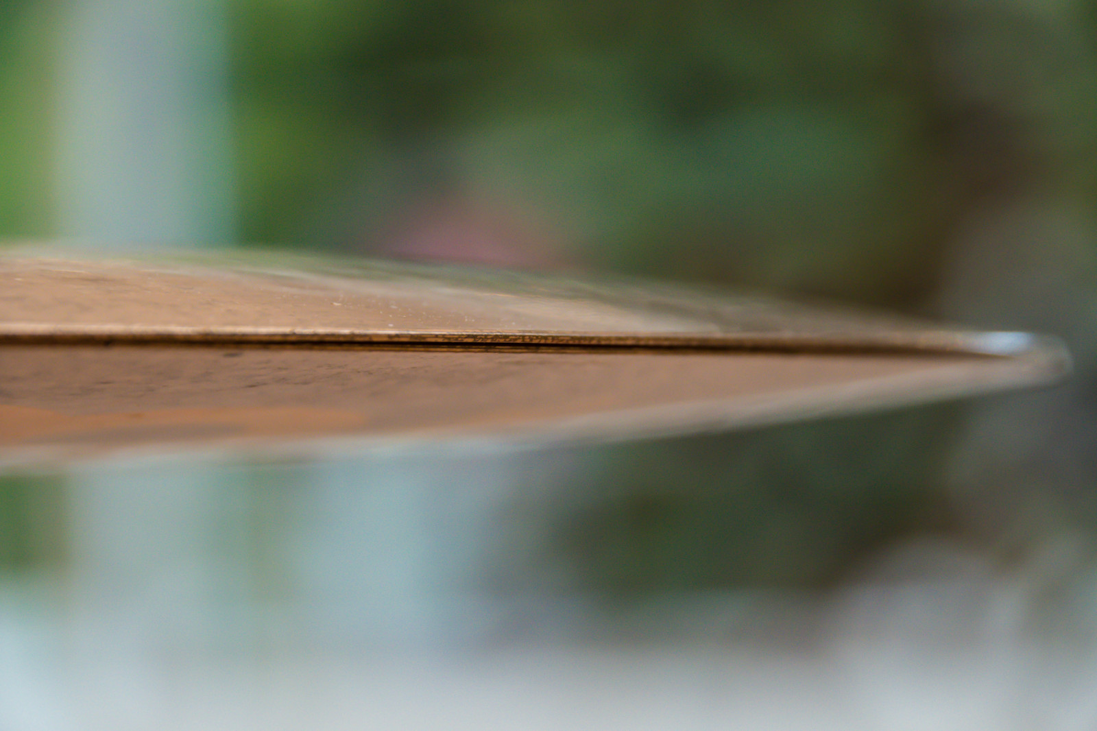 natur, græs, fotografering, træ, tæt på, afdeling, insekt, grøn, Sverige, trommer, Sverige, KUNST, dybdeskarphed, blad, dOF, sk nel n, SE, Triangeln, malmø, Konst, instrument, symbals, dami nortega, Malm Konsthall, djup, vinge, fauna, tæt på, makrofotografering