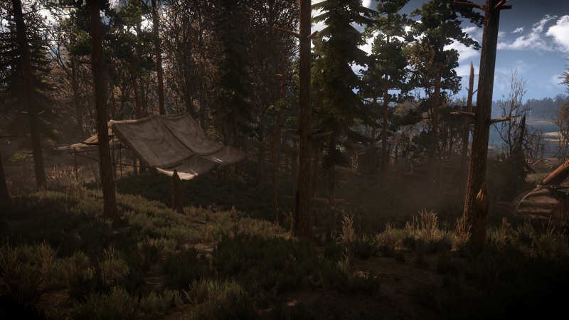 videogiochi, The Witcher 3 Caccia Selvaggia, luce del sole, foresta, natura, mattina