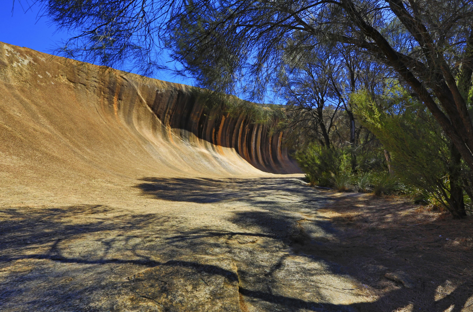 Waverock, Hyden, západní Austrálie, cestovat, letní, krajina, modrá obloha, Příroda, closetonature, stíny, Zvětrávání, rockformation, HDR, Stromové stíny, odstíny, concordians, národní geografie, scenicsnotjustlandscapes