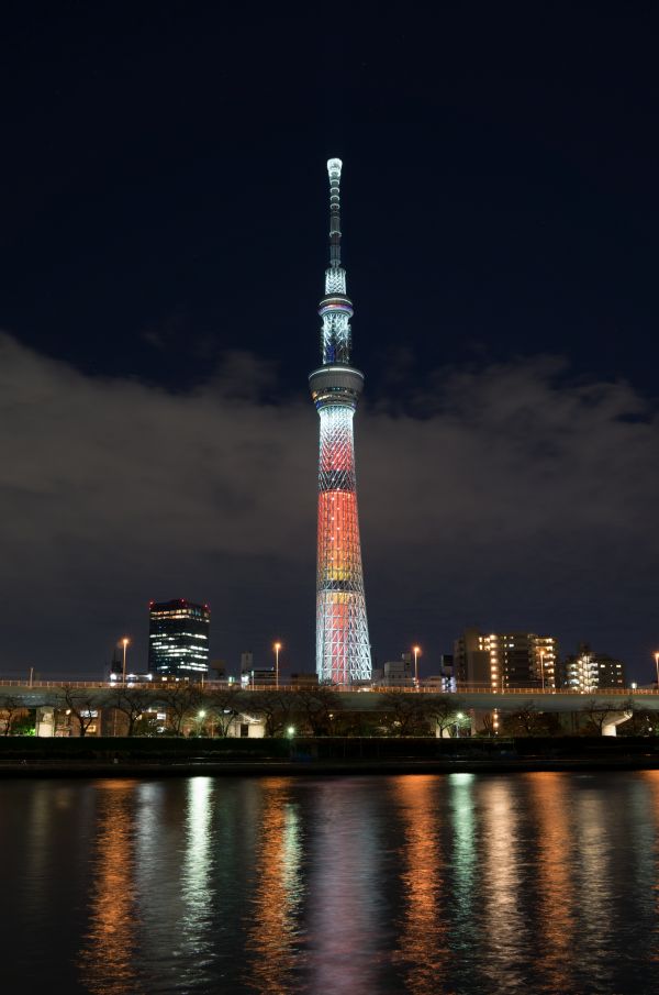 Japan,city,cityscape,night,architecture,reflection