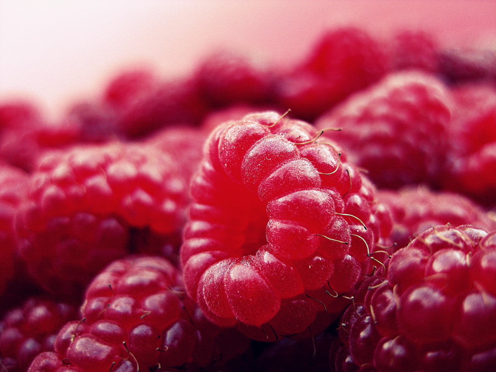 Wallpaper : raspberry, berry, ripe, close up 3264x2448 - CoolWallpapers ...