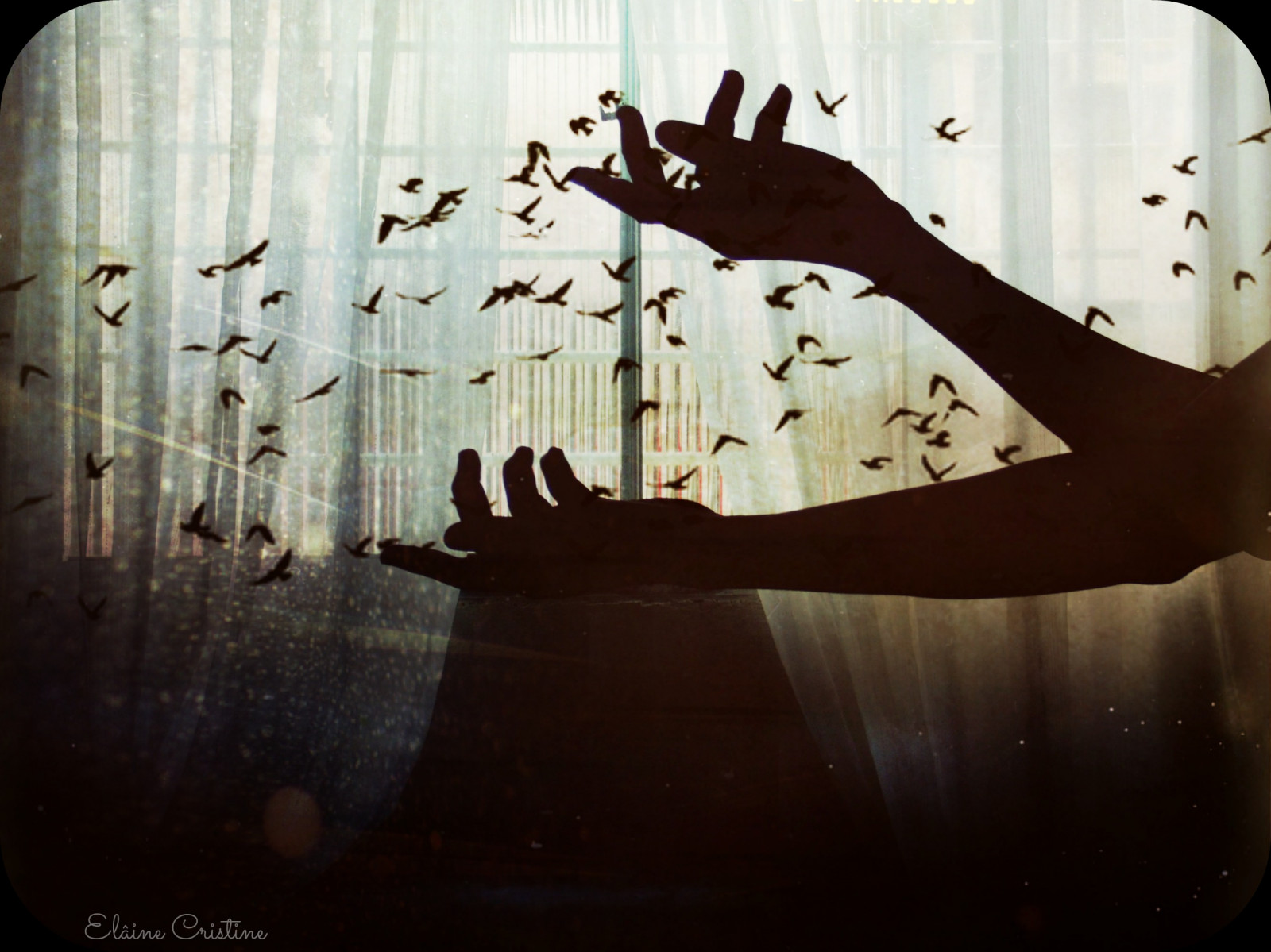 ptactvo, portrét, ruce, milovat, odraz, fotografování, slunce, textura, fantazie, vinobraní, pastel, slunce, tóny, 2014, UMĚNÍ, světlo, barva, barvy, flickr, mě, retro, ženský, amor, dia, tvar, film, tma, Na výšku, obraz, já, fotografia, autoportrét, mulher, silhueta, tempo, luz, textura, delicadeza, moje maličkost, cvaknutí, tun, detalhes, Pernambuco, moderní umění, Tonos, delicada, poesia, m os, inspiracion, feminina, ilumina, lomograpy, gex5, lainecristine, luzes