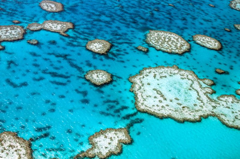 คลาสสิก,ปะการัง,แนวปะการัง,อุปสรรค,greatbarrierreef,วิทซันเดย์