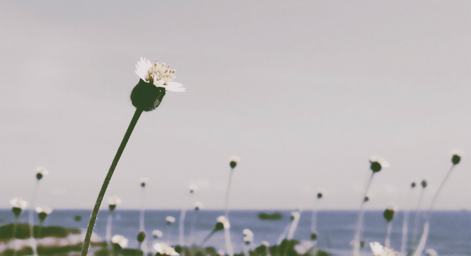 1920x1046像素, 海滩, 性质, 海