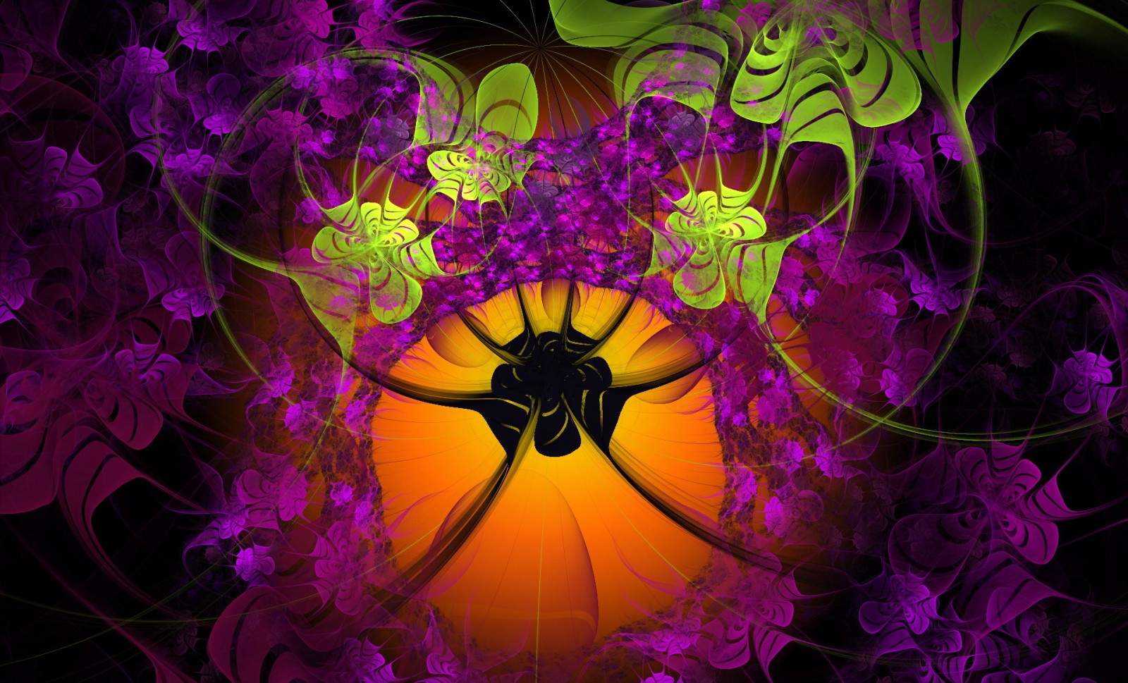 ilustrace, nachový, symetrie, kruh, čáry, květ, rostlina, flóra, vzory, okvětní lístek, Snímek obrazovky, počítač tapeta, kvetoucí rostlina, fraktální umění, makro fotografie, psychedelické umění