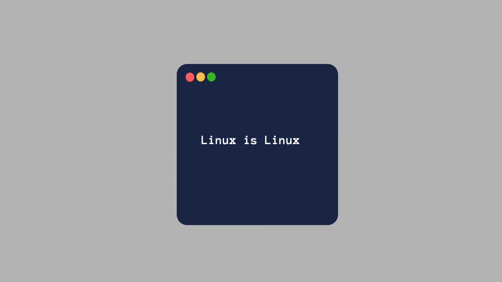 Wallpaper : Kali Linux, unixporn, Unix, Linus Torvalds 1920x1080