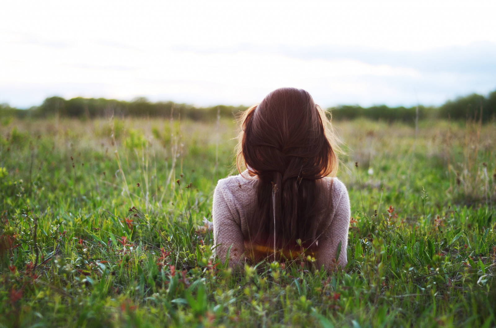 แสงแดด, ต้นไม้, มีสีสัน, แนวตั้ง, พระอาทิตย์ตก, ดอกไม้, สีน้ำตาล, สีแดง, หญ้า, ท้องฟ้า, กลางแจ้ง, ฟิลด์, สีเขียว, ดวงอาทิตย์, เสื้อกันหนาว, ผม, ขอบฟ้า, ฤดูร้อน, ความสุข, ฤดูใบไม้ผลิ, เงียบสงบ, ส่วนที่เหลือ, บริภาษ, เมน, ไฮไลท์, โฟกัส, เบา, ต้นไม้, ทอง, 50 มม, ดอกไม้, f18, ทุ่งหญ้า, ปลูก, หญิงสาว, d7000, goldenhour, เปลวไฟ, ภายนอก, ระยะไกล, เกษตรกรรม, ทุ่งหญ้า, ภาพบุคคล, nikond7000, ตัวเอง, ภาพเหมือน, หลวม, ง่าย, ถัก, ถักเปีย, ทุ่งหญ้า, อาจ, พืช, ครอบครัวหญ้า, nikkor50mm, megreillyphotography, Megreilly, วัชพืช, อีโครีเจียน, blueberryplains, coastmaine