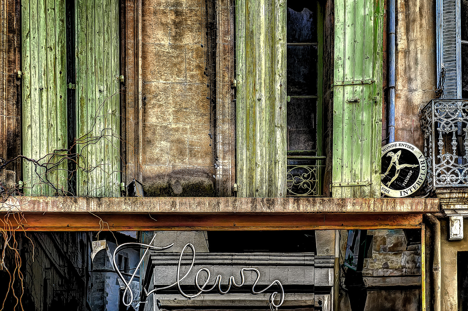 ฝรั่งเศส, fleurs, ปรอท, aixenprovence, โปรวองซ์, catman, ร้านดอกไม้, tamron18200, duanemoore, ลิขสิทธิ์ duanewmooreallrightsederved, sonyalphaa6000, sonyalphailce6000, dsc038484950