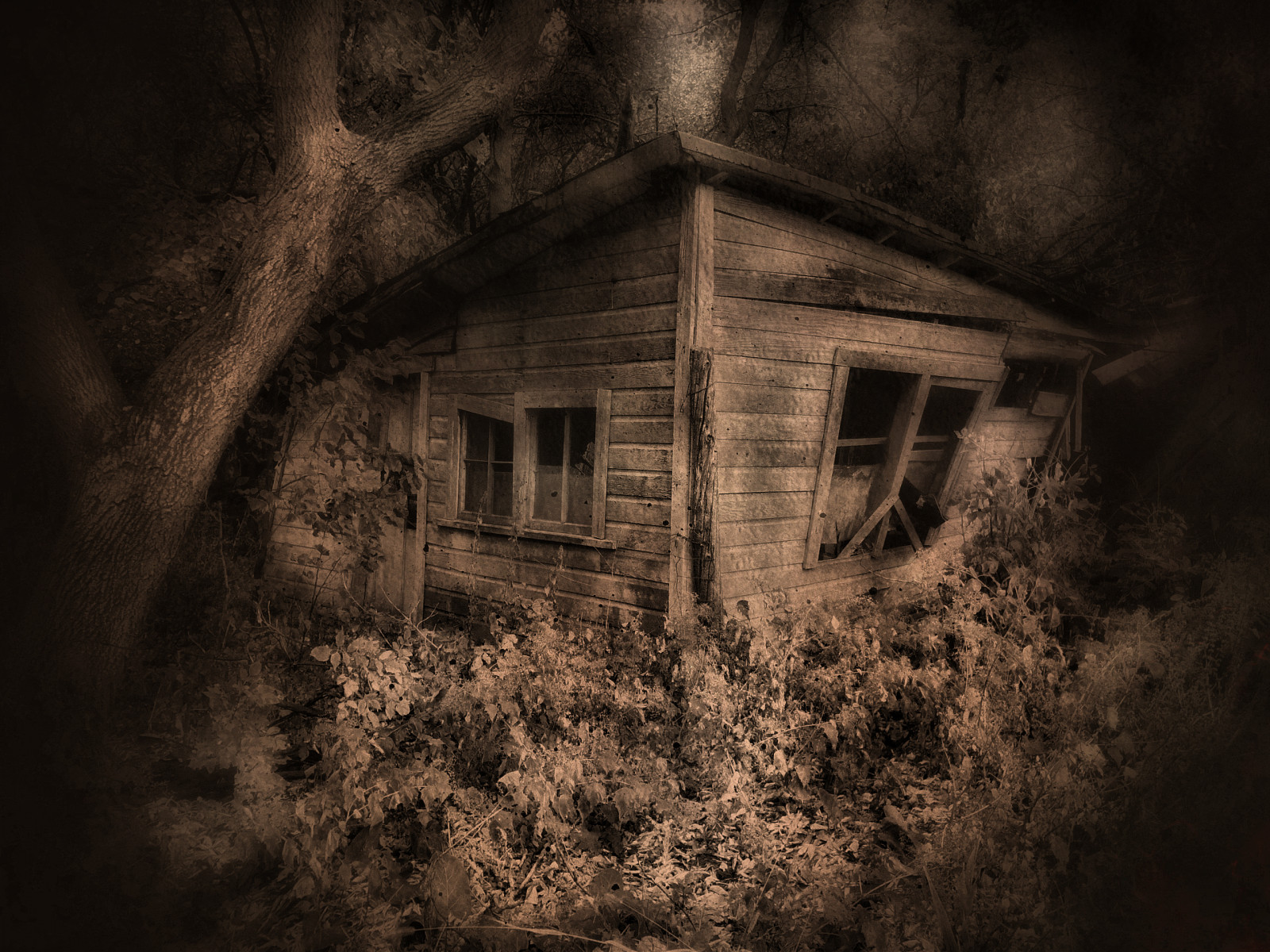 černobílý, noc, opuštěný, nebe, fotografování, dřevo, Dům, hospodařit, textura, atmosféra, Spojené státy americké, rozklad, Minnesota, venkovský, země, strom, tma, zemědělství, texturized, magicunicornverybest, bestevercompetitiongroup, Černý a bílý, monochromatické fotografování, zátiší fotografování, jev, buterfield, stock photography