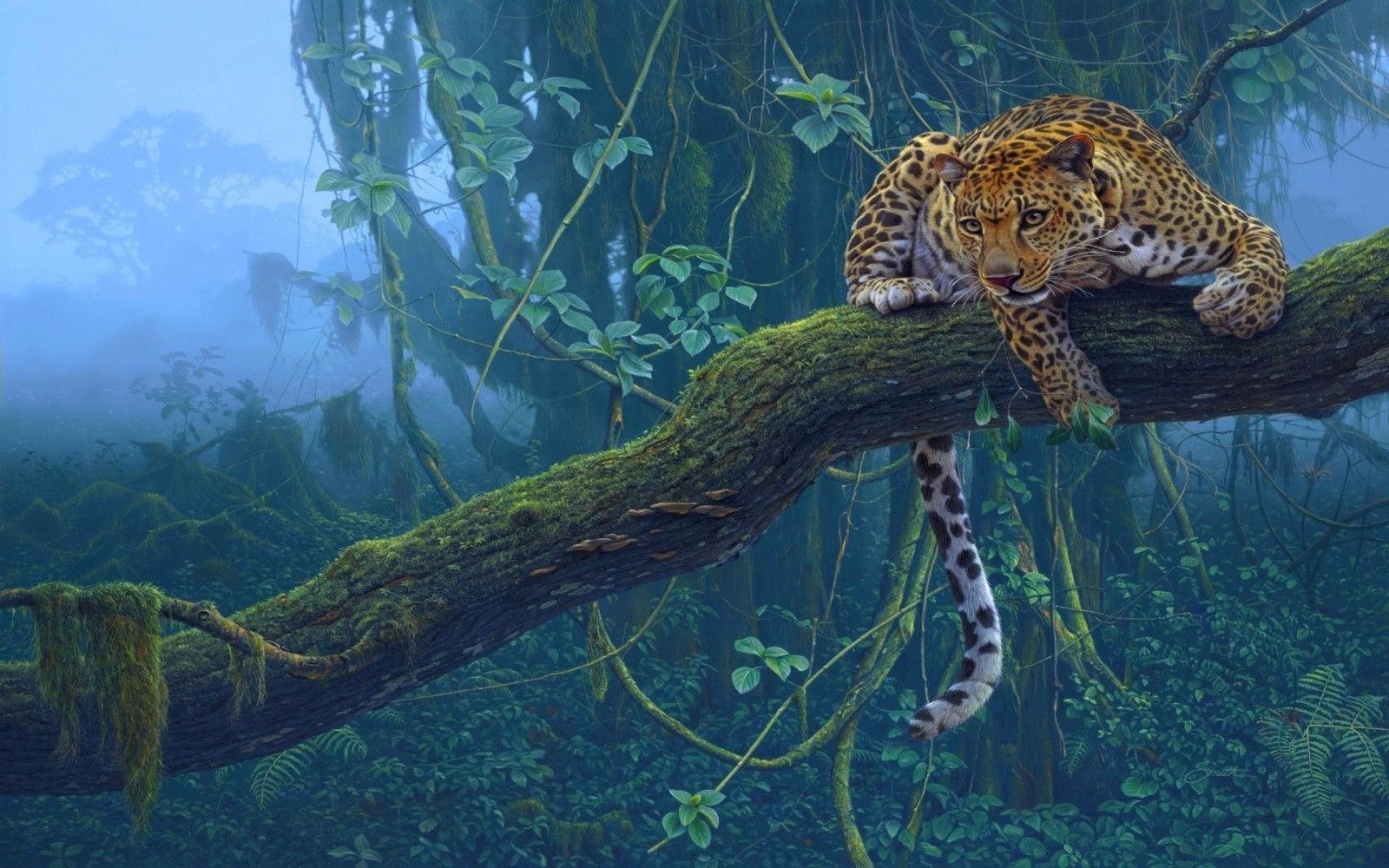 Wallpaper : 1920x1200 px, rimba, macan tutul, alam, pohon 1920x1200 ...
