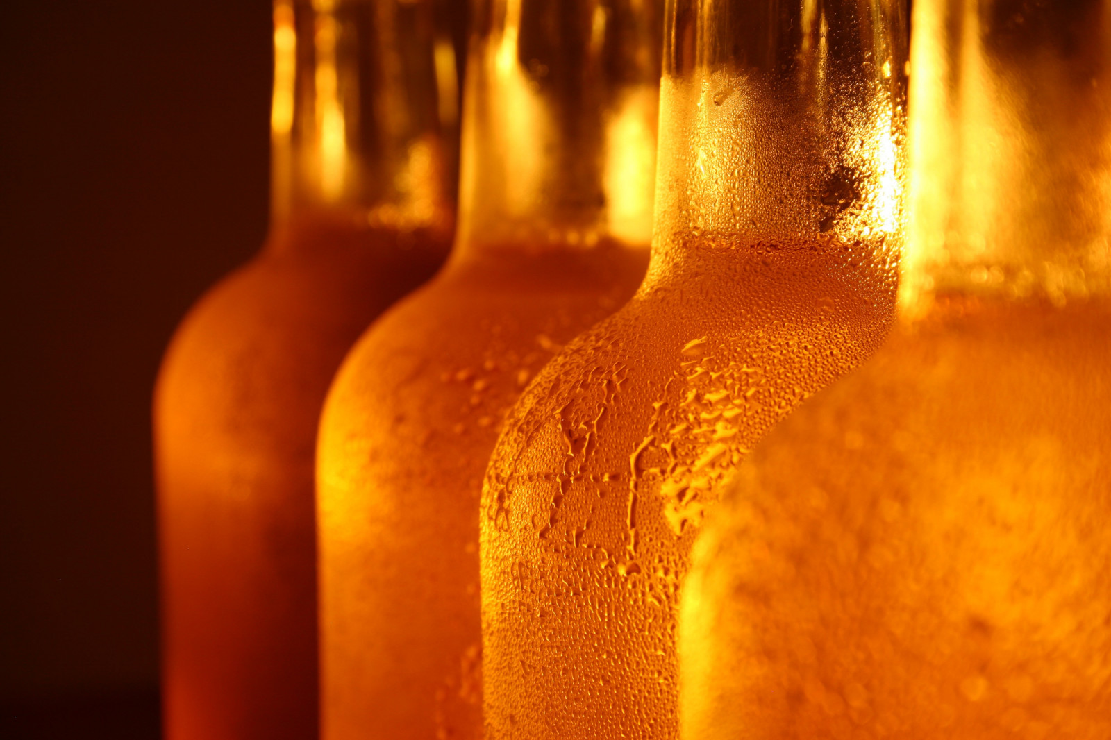 Hintergrundbilder : Gelb, Glas, Bier, Flasche, Tropfen, Alkohol