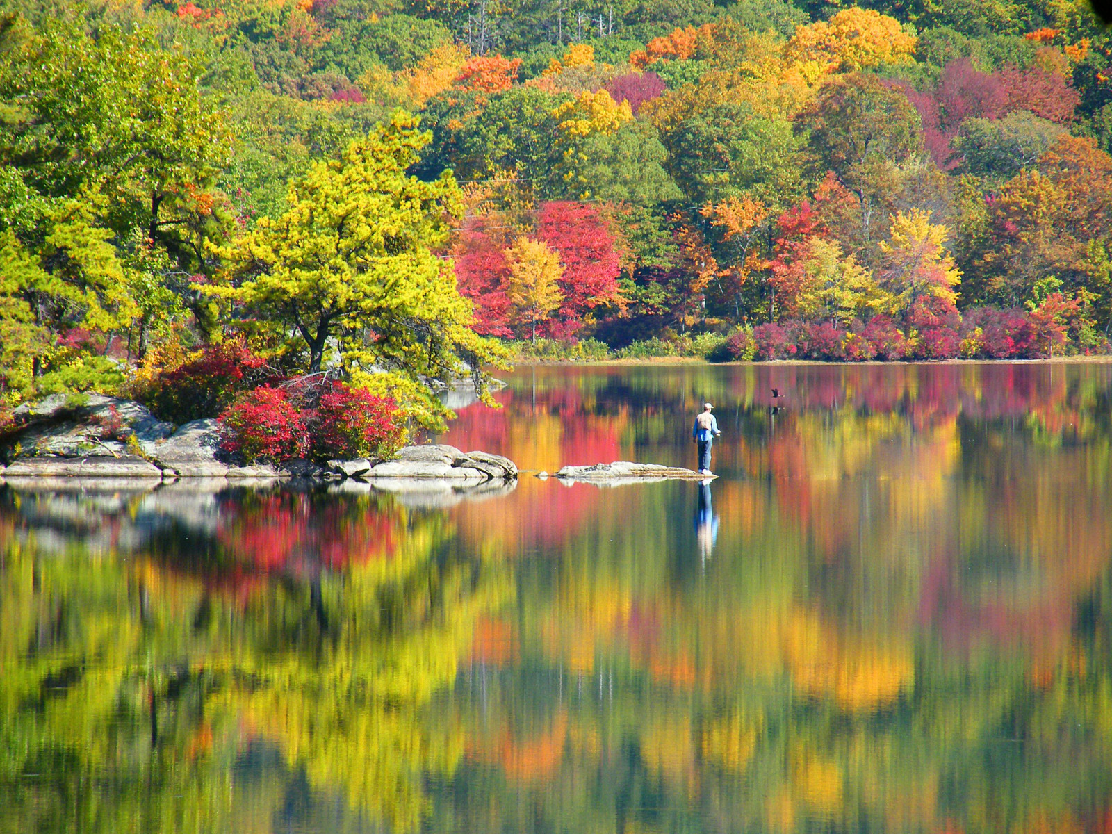 krajina, podzim, jezero, voda, Příroda, Červené, odraz, tráva, větev, zelená, žlutý, seasons, řeka, rybník, jaro, banka, rybolov, mokřadní, strom, podzim, list, rostlina, odrazy, vegetace, nádrž, odlesky, bayou, smíšený les, opadavý, javor, národní park, sterling
