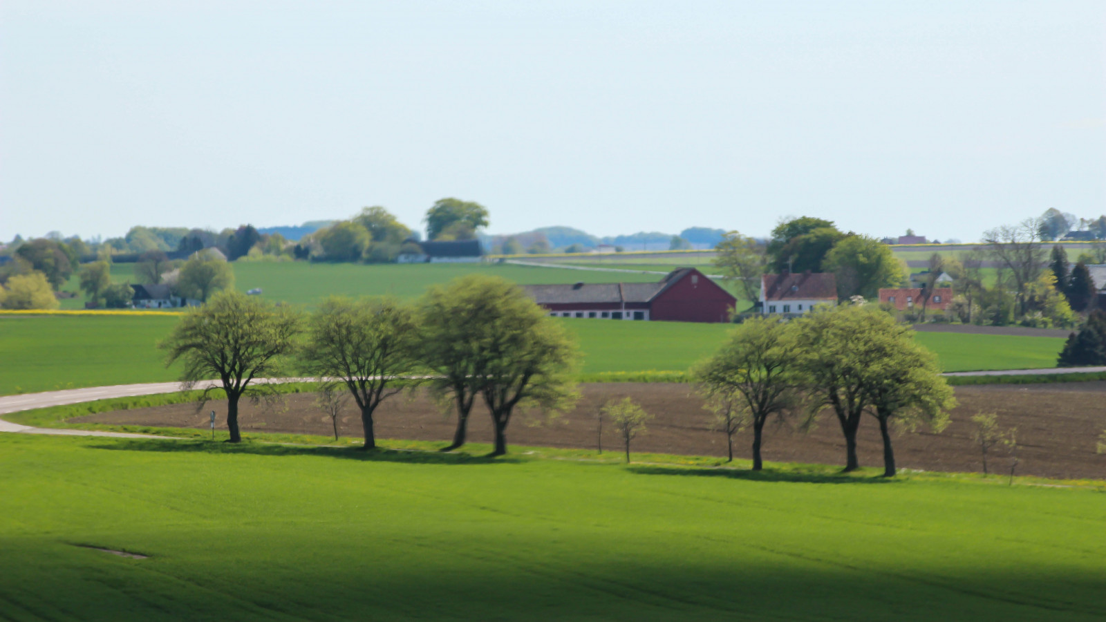 Hintergrundbilder : Sport, Landschaft, Hügel, Gras, Feld, Straße, Grün