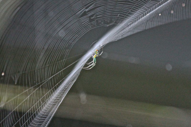 infrastruktur, fixed link, linje, vand infrastruktur, fixed link, linje, vand