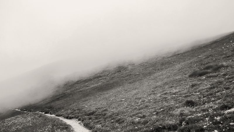 černobílý, kopec, sníh, zima, ráno, pole černobílý, kopec, sníh, zima, ráno, pole