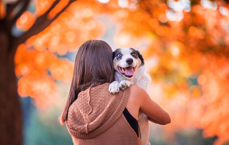 women, women outdoors, animals, mammals, dog women, women outdoors, animals, mammals, dog