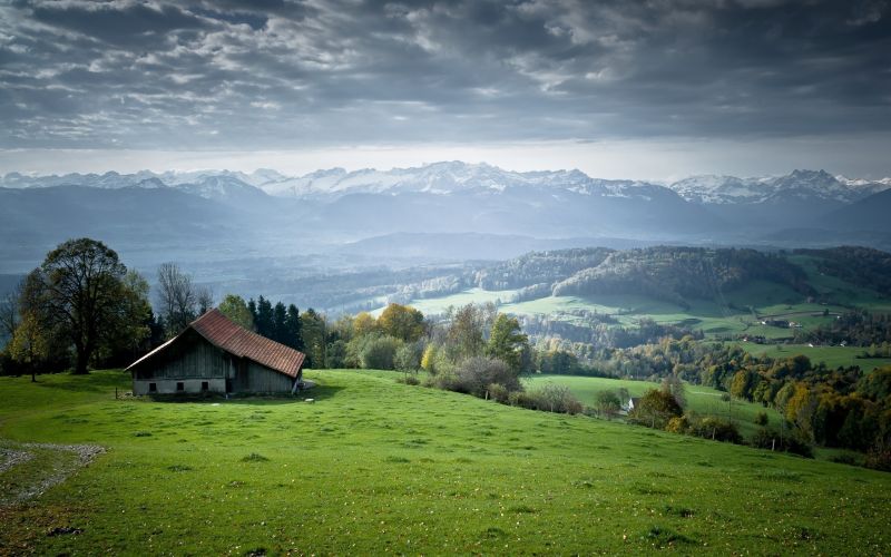 stromy, krajina, les, kopec, slunečnímu záření, Příroda stromy, krajina, les, kopec, slunečnímu záření, Příroda