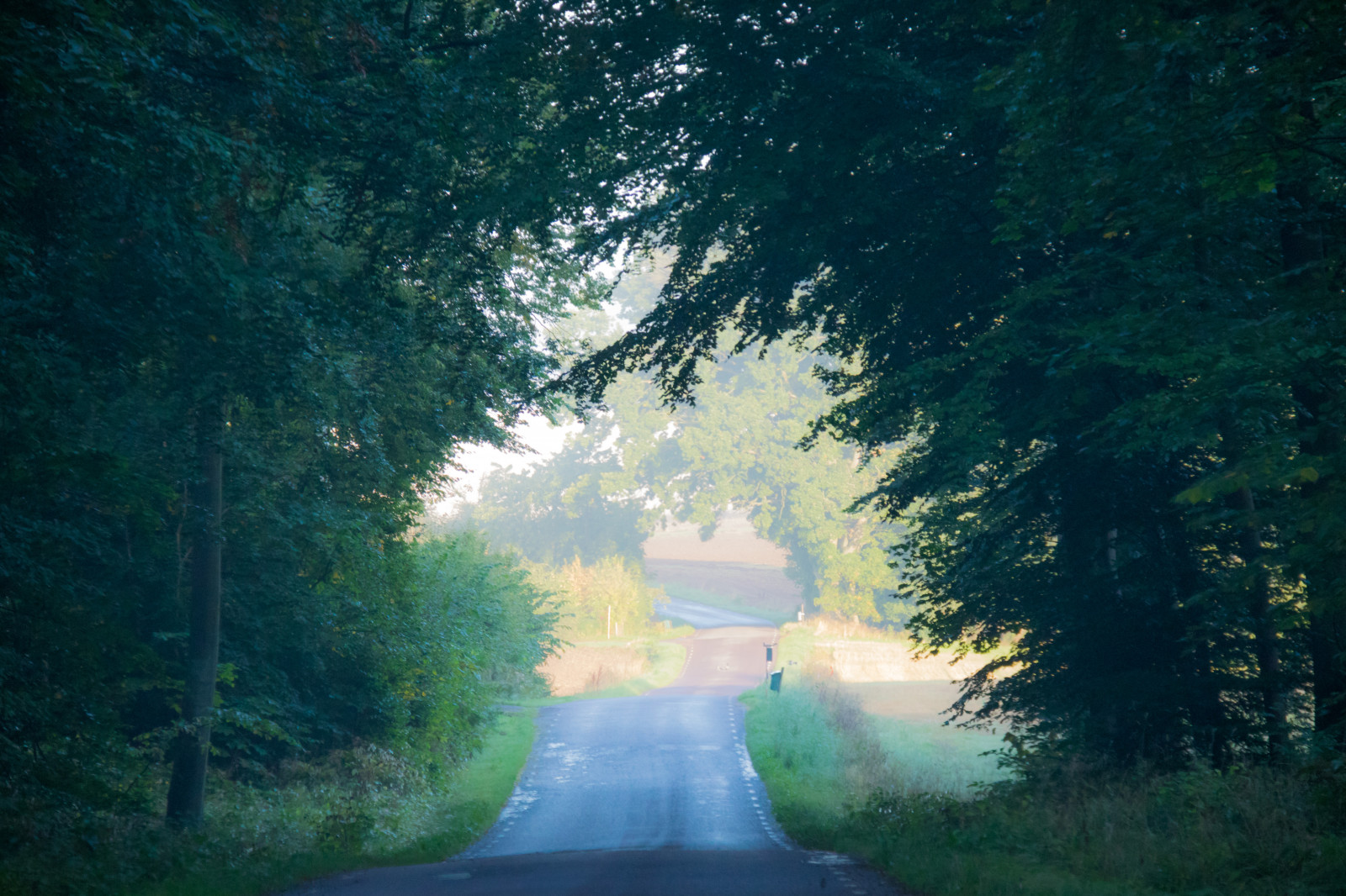 slunečnímu záření, krajina, les, noc, Příroda, odraz, tráva, silnice, svítání, zelená, ráno, mlha, slunce, atmosféra, světlo, strom, mlha, list, svítání, rostlina, tr d, dimma, venkov, soluppg ng, landskap, gryning, exif modelu canoneos760d, geocountry, Kamera aby kánon, geocity, Model fotoaparátu canoneos760d, geostate, geolocation, EXIF čočka efs18200mmf3556is, EXIF otvor 56, exif aby kánon, exif isospeed 1600, exif focallength 130mm, tma, VAG, siunrise, místo výskytu, atmosférický jev, počítač tapeta, dřevina
