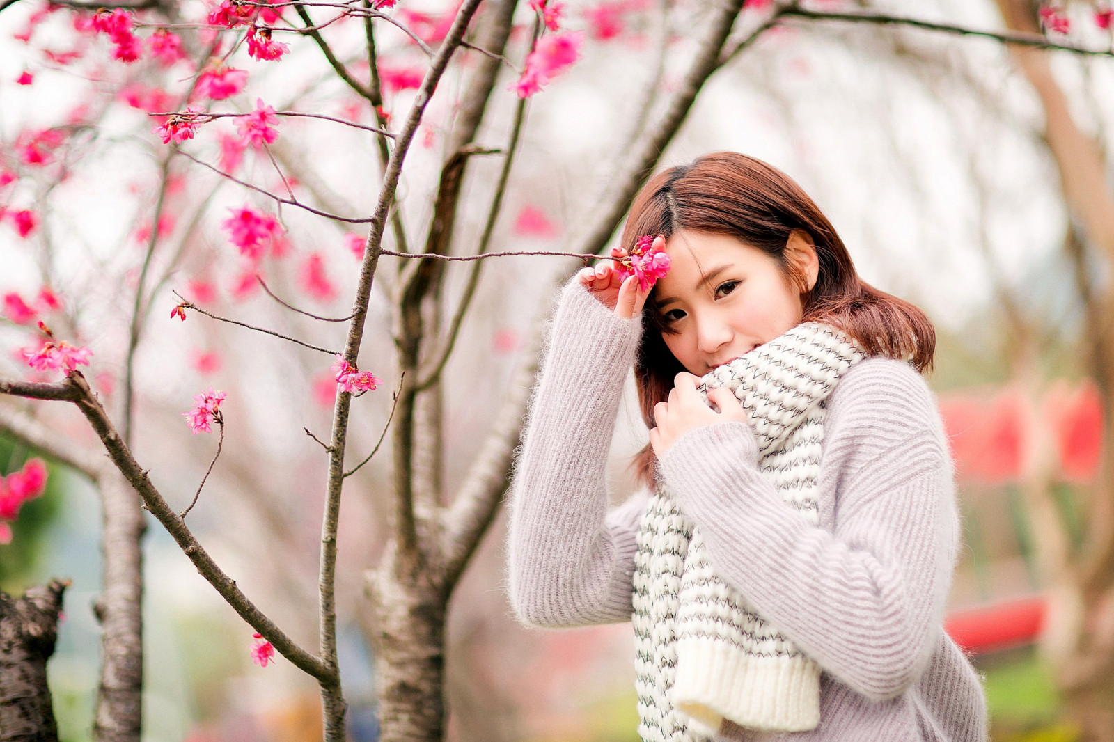 Wallpaper : women, model, sweater, Asian 2048x1365 - 6h057 - 1444021