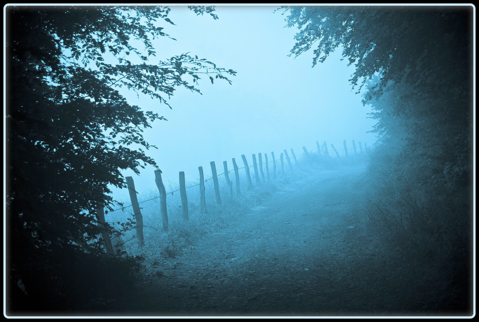 voda, Příroda, nebe, modrý, ráno, Německo, mlha, atmosféra, plot, cesta, kolínská, UMĚNÍ, strom, mlha, cesta, elitegalleryaoi, Trojzubec, tvořivý, artistoftheyearlevel3, Soe, theunforgettablepictures, bestcapturesaoi, artistoftheyearlevel4, golddragon, platinumphoto, goldstaraward, Oberberg, vanagram, magicdonkeysbest, worldwidelandscapes, stock photography