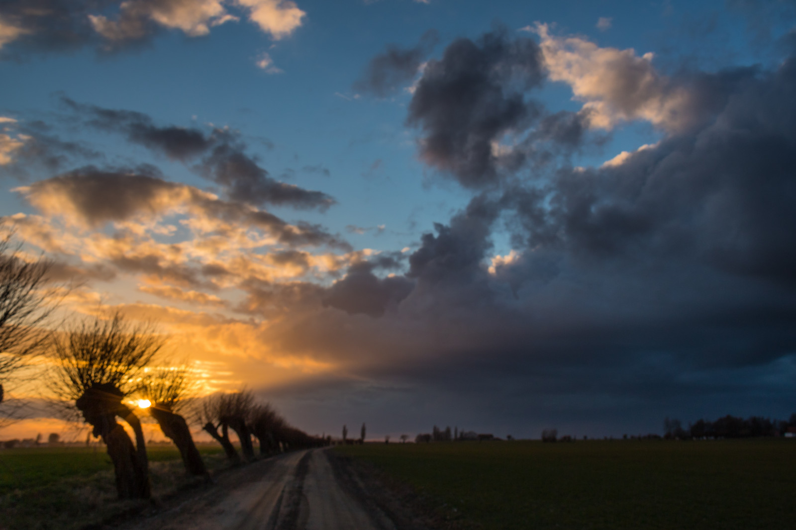 slunečnímu záření, krajina, západ slunce, nebe, pole, svítání, večer, ráno, horizont, atmosféra, soumrak, Vrba, mrak, strom, počasí, svítání, nebe, solnedg ng, tr d, sk ne, venkov, moln, landsbygd, s dersl tt, landskap, pilar, PIL, piltr d, piletr d, prérie, odlesk, červená obloha v dopoledních hodinách, meteorologický jev, kupa