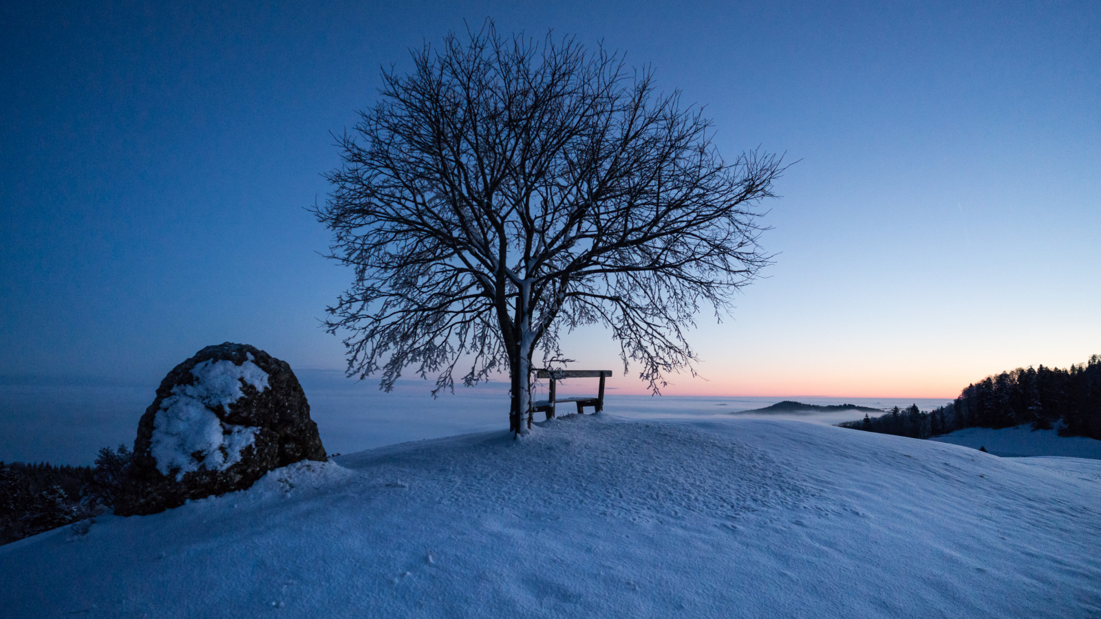 Sonnenlicht, Landschaft, Hügel, Natur, Himmel, Schnee, Winter, Ast, Sonnenaufgang, blau, Eis, Abend, Morgen, Frost, Mondlicht, Horizont, Atmosphäre, Schweiz, Arktis, Dämmerung, Einfrieren, Licht, Wolke, Baum, neblig, Nebel, Berg, Dämmerung, Morgenlicht, früher Morgen, Carl Zeiss, Sonnenaufgang, Schweiz, Handbuch, Manueller Fokus, Svizzera, A7rii, Mf, Nebel, Computer-Tapete, Holzige Pflanze, Sonyilce7rm2, Morgenlicht, Mondlicht, Manuellerfokus, Loxie, Alpha7rm2, Manuell, Zeissloxia2128, Allewinden, Naur, Beforethesunrises, Suiss, Fr hermorgen