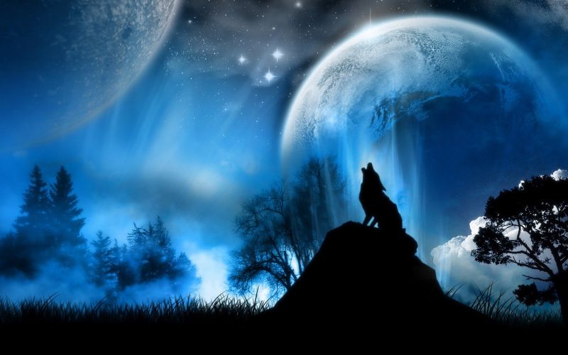 slunečnímu záření, noc, nebe, měsíční svit, vlk, atmosféra