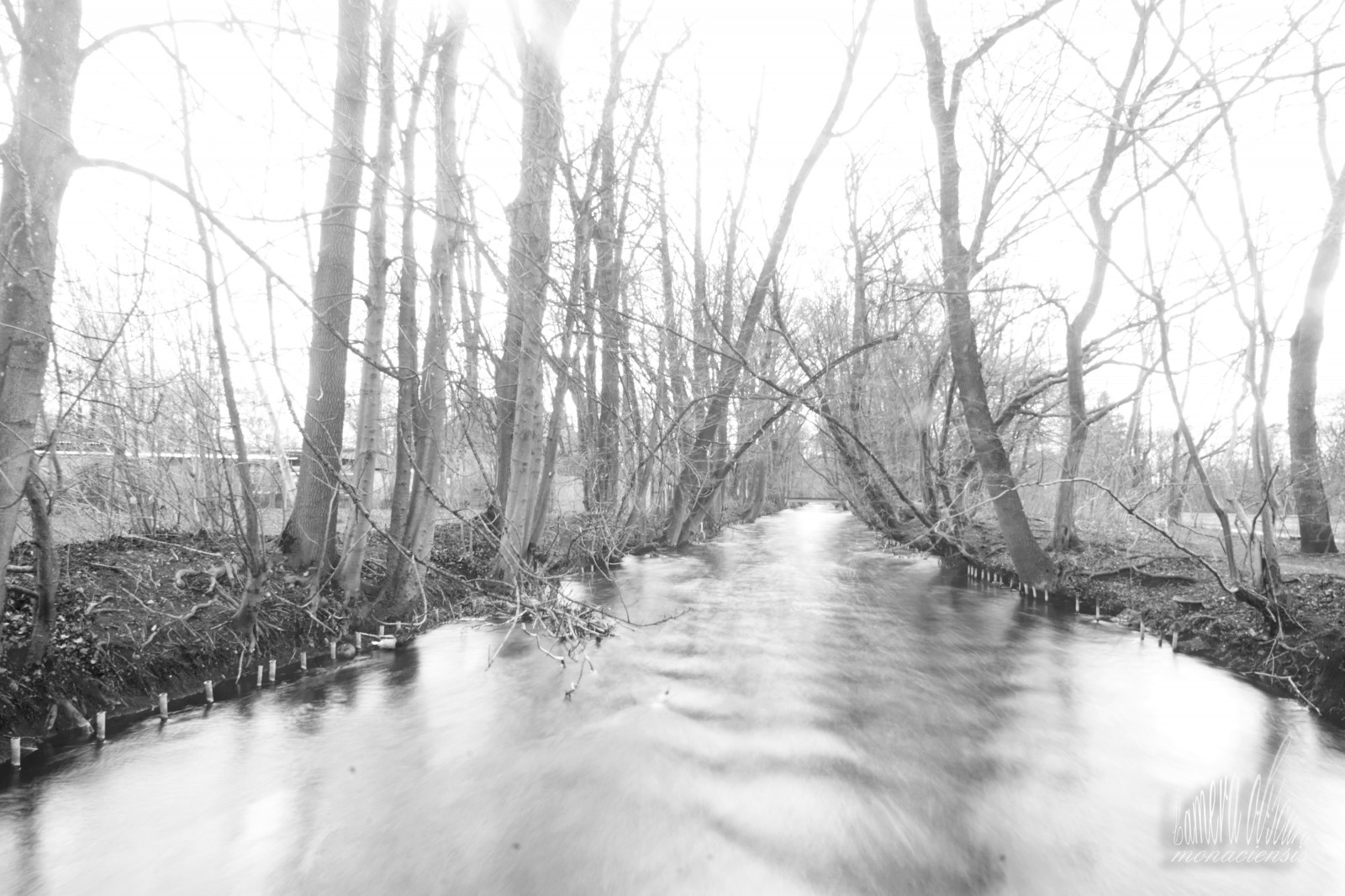 stromy, krajina, les, bílý, Černá, černobílý, voda, Příroda, odraz, zima, fotografování, větev, Fotoaparát, sépie, řeka, Sony, Křoví, objektiv, cesta, kanál, banka, bažina, bříza, mokřadní, UMĚNÍ, Černý a bílý, široký úhel, strom, Landschaft, rostlina, natur, vodní tok, keř, kamera, alfa, sigma, foto, vogel, baum, monochrom, schwarz, Weis, kunst, b UME, Fluss, sigma1020, sLR, schwarzweis, weiss, Dieter, slt, obscura, Wulf, Vogl, wulfdietervogl, wulfdieter, cameraobscuramonaciensis, monaciensis, PhotoArt, bayou, zálesí, sonyalpha, vodní, Černý a bílý, monochromatické fotografování, sigmalens, weitwinkel, sonyalpha77, monacensis, myart, meinekunst, fotokunst, meinefotokunst, myphotoart, spiegelreflex, reflexcamera, verarbeitet, bearbeitet, sonyalphailca77ii, 77m2, Ilca, b Spr, geb sch, sigmaweitwinkel, sigma1020mmf3, 5exdchsm, lužní