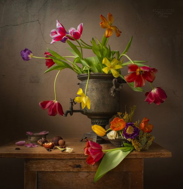 Irina Shipunova,still life,flowers,petals,vases,colorful