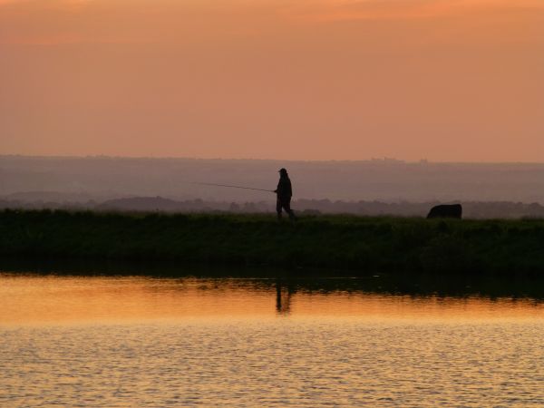 quote, sunset, sea, bay, lake, water